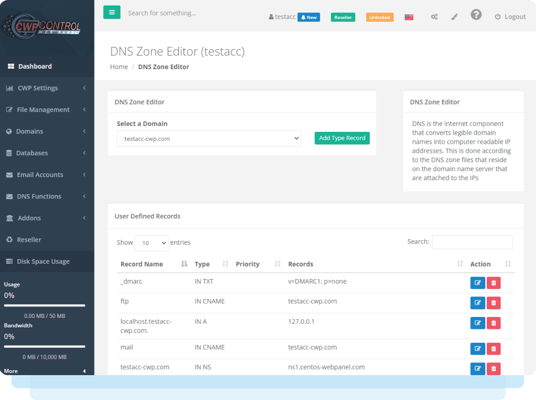 CWP Control Panel DNS Zone Editor | Ryel Digital