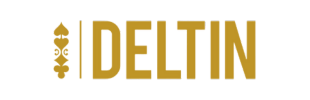 Deltin Logo | Ryel Digital