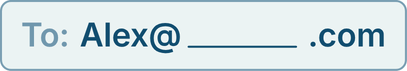 An interface component representing the setup of a professional business email address with a customizable domain name.