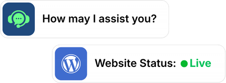 A set of professional support interface elements, including a live chat prompt and a WordPress website status monitor showing active service.